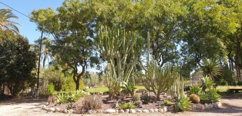مبيت وإفطار إلتشه Pink Lemon House المظهر الخارجي الصورة