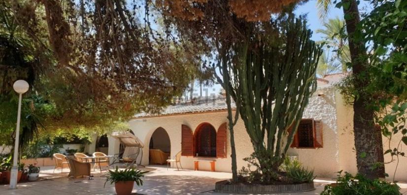 مبيت وإفطار إلتشه Pink Lemon House المظهر الخارجي الصورة